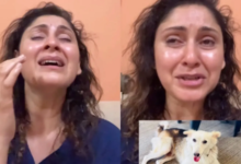 Manjari Fadnis