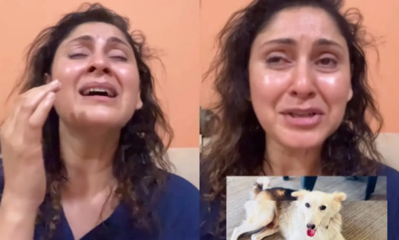Forensics Debunk Blood Claim in Actor Manjari Fadnis’s Malad Society Dog Disappearance Case 1 Manjari Fadnis