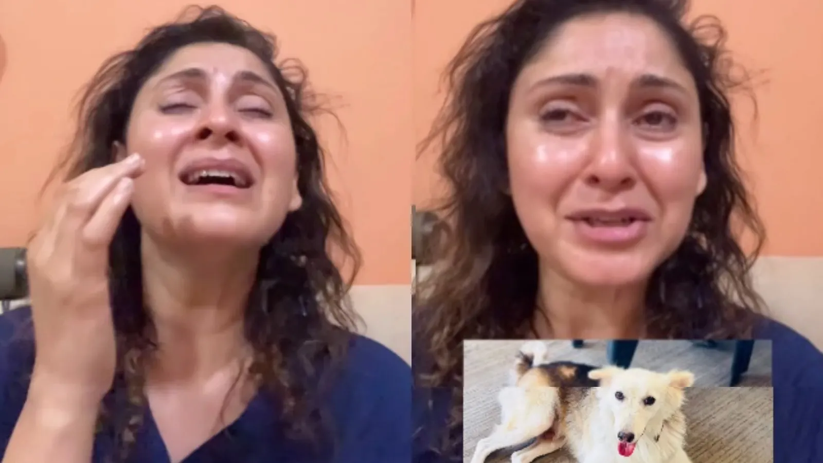 Forensics Debunk Blood Claim in Actor Manjari Fadnis’s Malad Society Dog Disappearance Case 10 Manjari Fadnis
